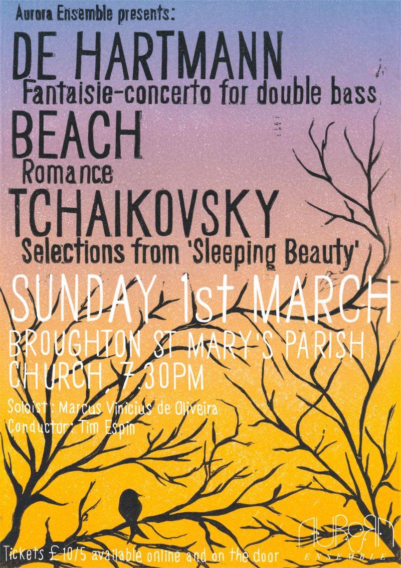 Aurora Ensemble Concert 1.3.2026