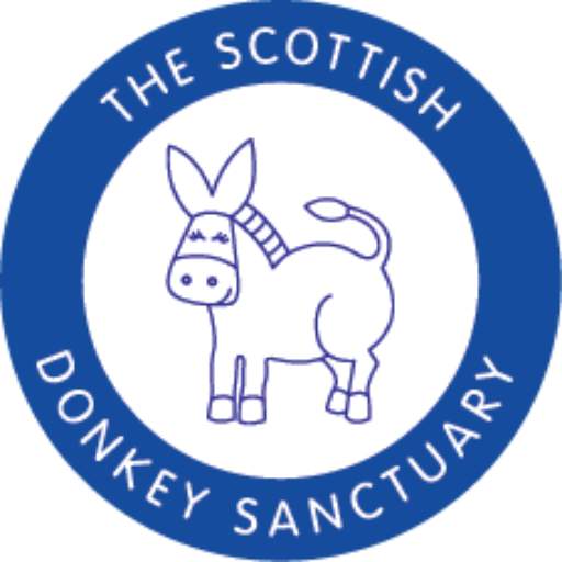 Scottish Donkey Sanctuary