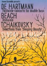 Aurora Ensemble Concert 1.3.2026